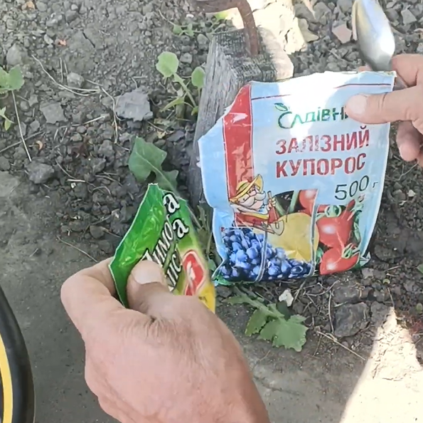 Рецепт розчину від хлорозу дерев