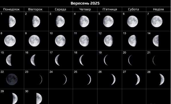 Вплив фаз Місяця на садово-городні роботи